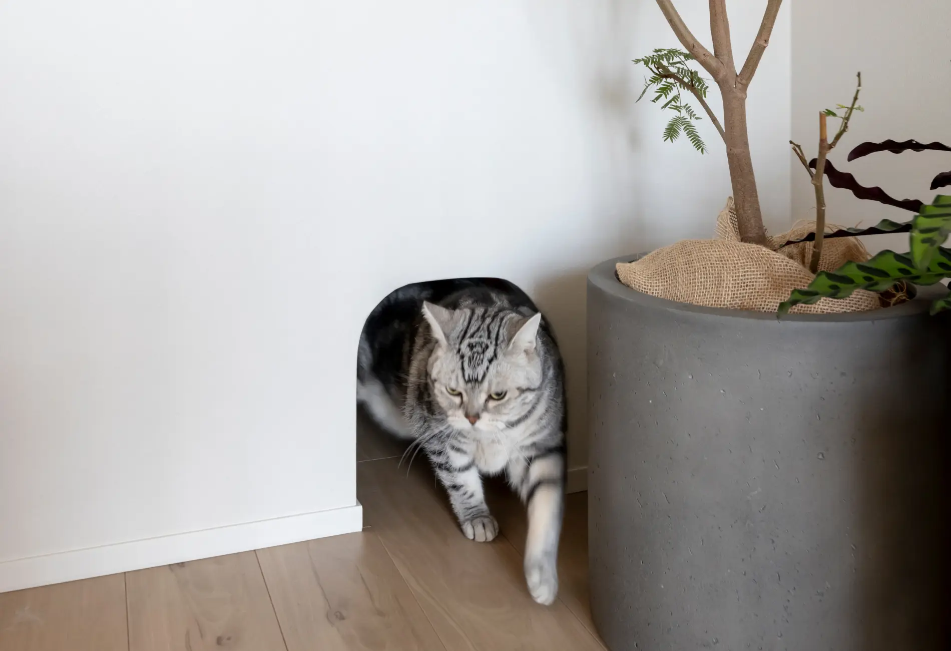 リノベーションギャラリー