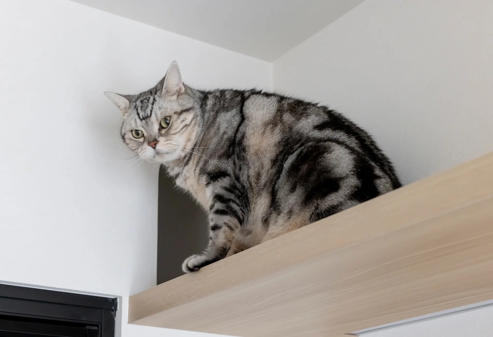 リノベーションギャラリー